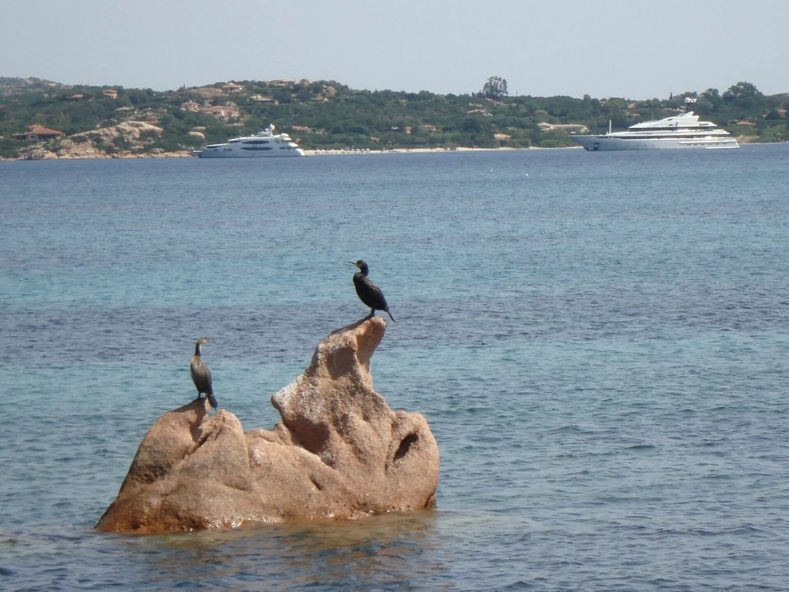 Il borgo di Porto Cervo in Costa Smeralda con le architetture bianche affacciate sul porto